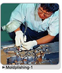 moldplishing-1